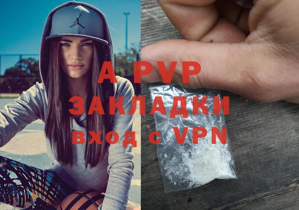 гидра Алексин